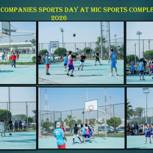 778f1474-9793-4212-94e8-b3328a051ab4-1