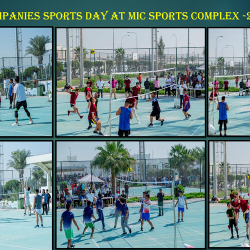 778f1474-9793-4212-94e8-b3328a051ab4-2