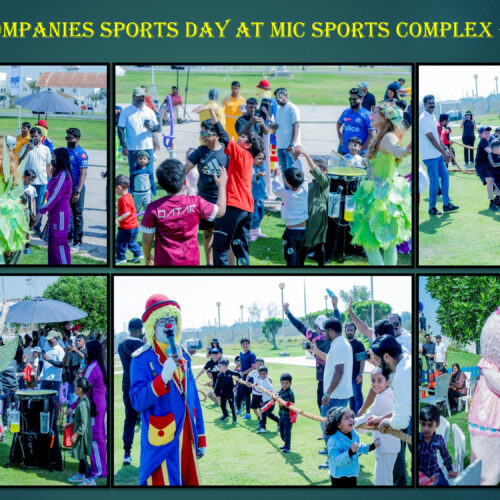 778f1474-9793-4212-94e8-b3328a051ab4-3